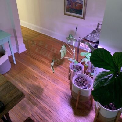 engineered hardwood flooring install in home