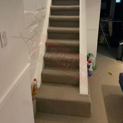 replacing basement carpet with vinyl