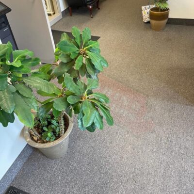office installs new carpet tile