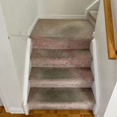 replacing old carpet with bright vinyl floors
