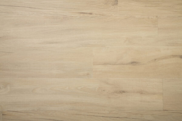 GRANDEUR GLUE DOWN TIMELESS COLLECTION
