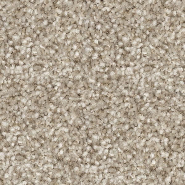 Beaulieu - Nyluxe PetGuard & Tri-Twist - Epitome J4697