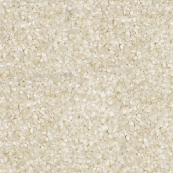 Beaulieu - Nyluxe PetGuard & Tri-Twist - Epitome J4697