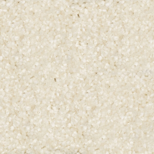 Beaulieu - Nyluxe PetGuard & Tri-Twist - Epitome J4697