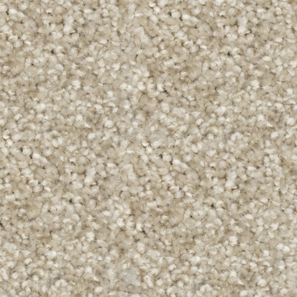 Beaulieu - Nyluxe PetGuard & Tri-Twist - Epitome J4697