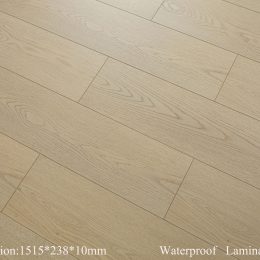 Beaulieu - Tryesse Pro - Souvenir From Canada - Broadloom