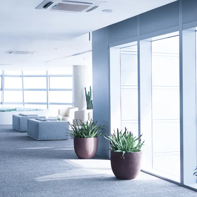 ottawa commercial carpet installation