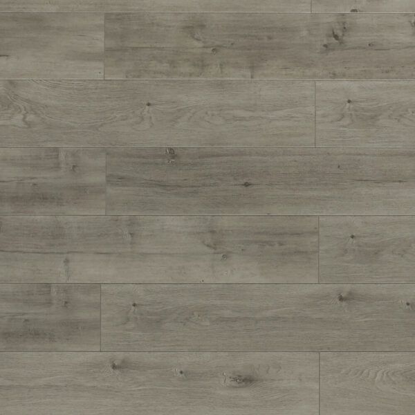 TRIFOREST- 12.3MM - LAMINATE - AC4
