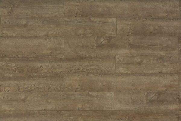TRIFOREST- 12.3MM - LAMINATE - AC4