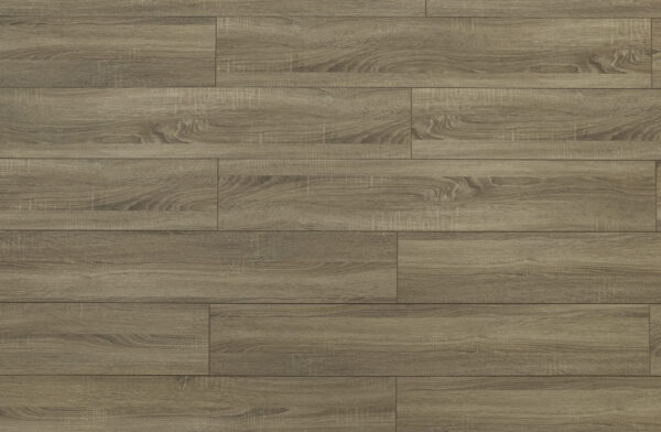 TRIFOREST- 12.3MM - LAMINATE - AC4