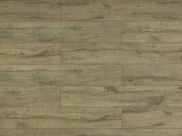 TRIFOREST - 12.3MM - AC4 - LAMINATE