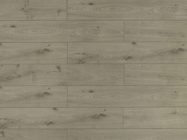 TRIFOREST - 12.3MM - AC4 - LAMINATE
