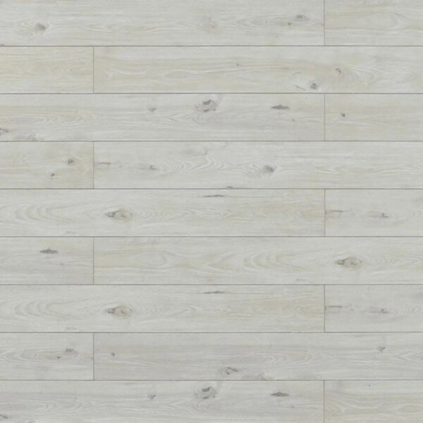 TOUCAN - 12.3MM - TF80 SEREIS-LAMINATE