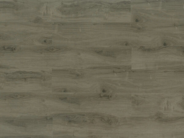 TRIFOREST - SPC2 -  6.5MM - VINYL - CLICK
