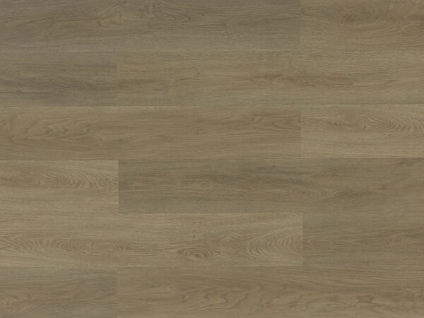 TRIFOREST - SPC2 -  6.5MM - VINYL - CLICK