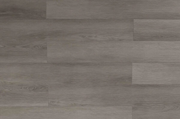 TRIFOREST - SPC2 -  6.5MM - VINYL - CLICK