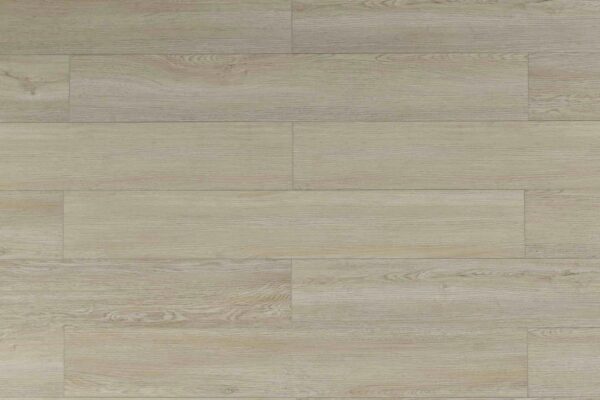 TRIFOREST - SPC2 -  6.5MM - VINYL - CLICK