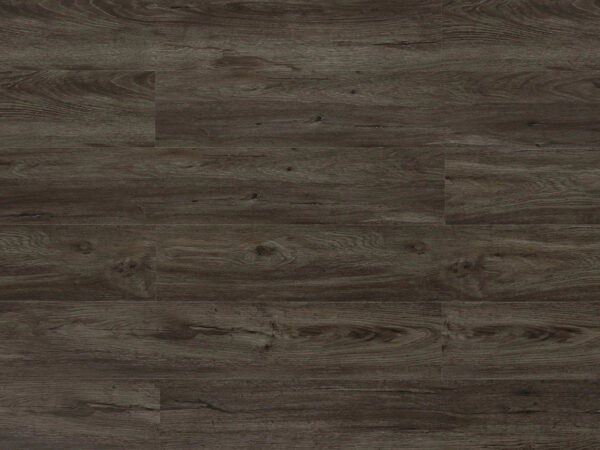 TRIFOREST - SPC3 -  4.2MM - VINYL - CLICK