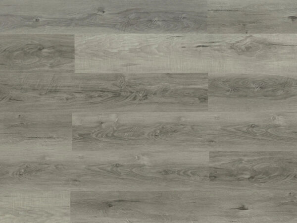 TRIFOREST - SPC3 -  4.2MM - VINYL - CLICK