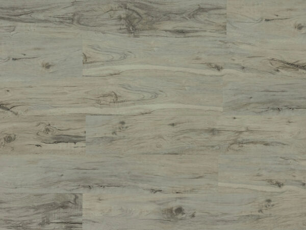 TRIFOREST - SPC3 -  4.2MM - VINYL - CLICK