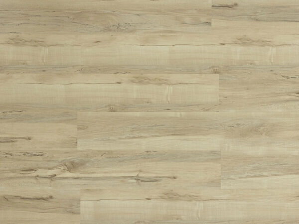 TRIFOREST - SPC3 -  4.2MM - VINYL - CLICK