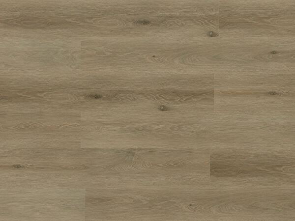 TRIFOREST - SPC3 -  4.2MM - VINYL - CLICK