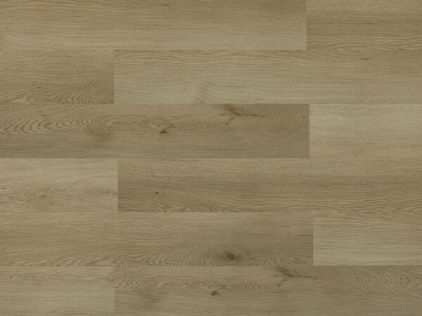 TRIFOREST - SPC3 -  4.2MM - VINYL - CLICK