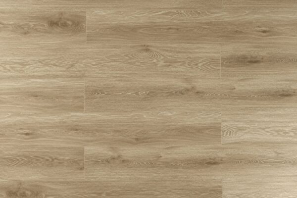 TRIFOREST - SPC5 -  6MM - VINYL - CLICK