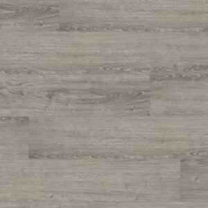 Ainsworth 2160