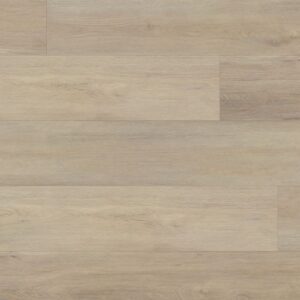 Caraway 6050