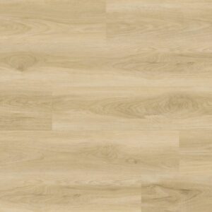 VDB1458 Sand Dollar