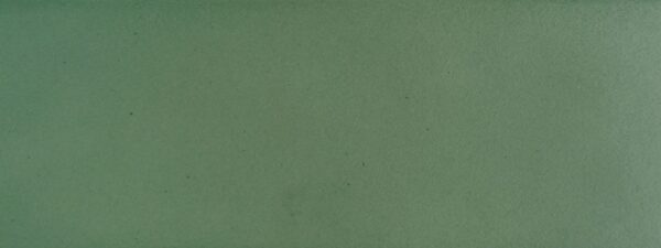 NESHADA - BORGO SERIES -  2.5" X 8" PORCELAIN