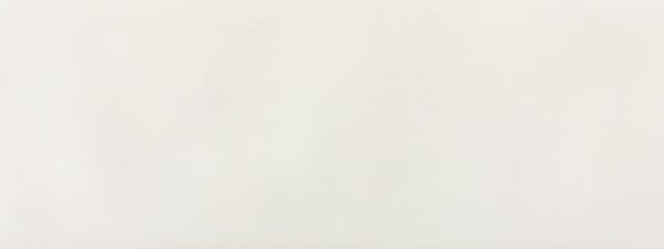 NESHADA - BORGO SERIES -  2.5" X 8" PORCELAIN