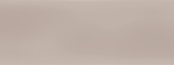 NESHADA - MERCE SERIES - 3" X 12" - MATTE - PORCELAIN - MOSAIC