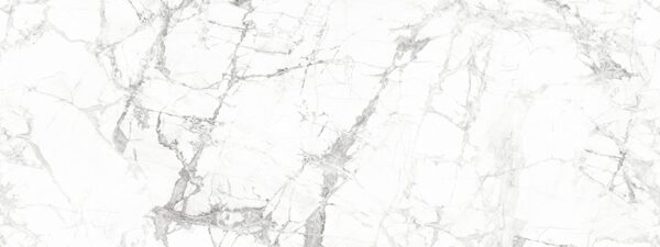 NESHADA - ATTIVO WHITE - 32 X 64 - PORCELAIN
