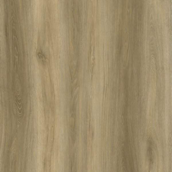 1867 - EVOLUTION ORIGIN - GLUEDOWN - 2MM - VINYL