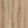 1867 - EVOLUTION ORIGIN - GLUEDOWN - 2MM - VINYL
