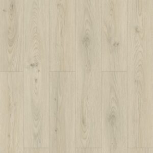 Himalaya Oak