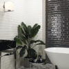 NESHADA - PURA SERIES - MATTE - MOSAIC