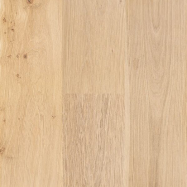 NEXT FLOOR - MISSION HILL630 - T&G - EUROPEAN OAK