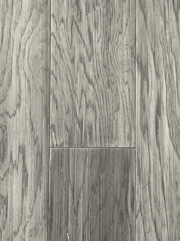 Silver Fox 600x800