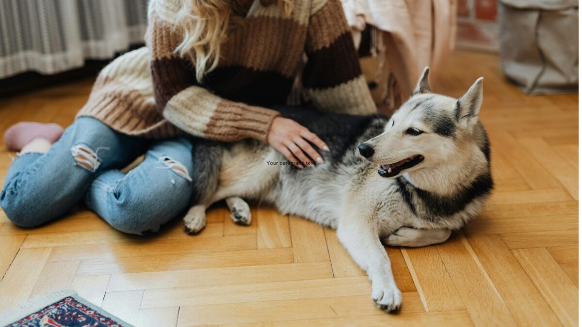 best flooring for pets