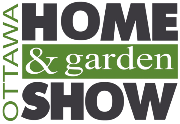 image removebg preview